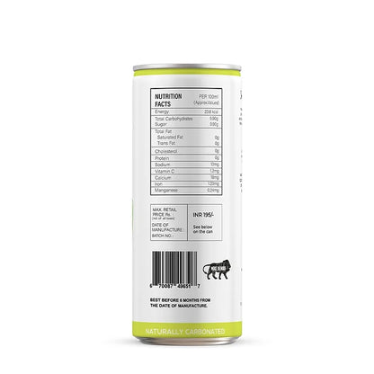 Nanas Craft Probiotic Drinks Max Mojito - 250ml (Pack of 4)-Boozlo